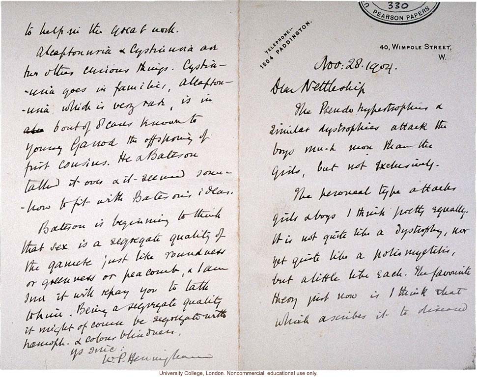 W.P. Heningham letter to E. Nettleship, about inheritance of human disorders and sex determination, with references to Bateson and Garrod (11/28/1904)
