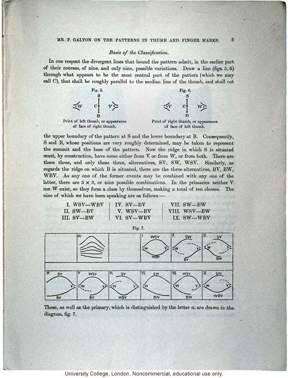 &quote;The Patterns in Thumb and Finger Marks,&quote; by Francis Galton, <i>Phil. Trans. Royal Society</i> (vol. 182), selected pages