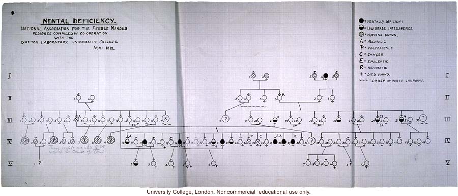 &quote;Mental Deficiency Pedigree,&quote; a multigenerational study of a rural family by the British National Association for the Feebleminded