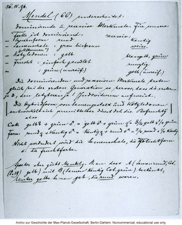 Carl Correns notes on Mendel's analysis of dominant and recessive charateristics in peas (4/16/1896)