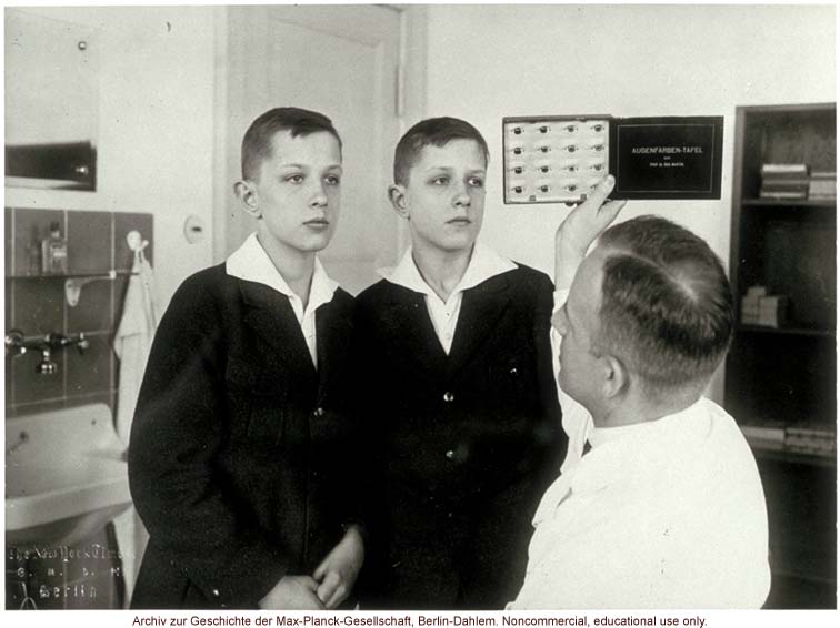 12-year-old male twins undergoing anthropometric study by Otmar Freiherr von Verschuer