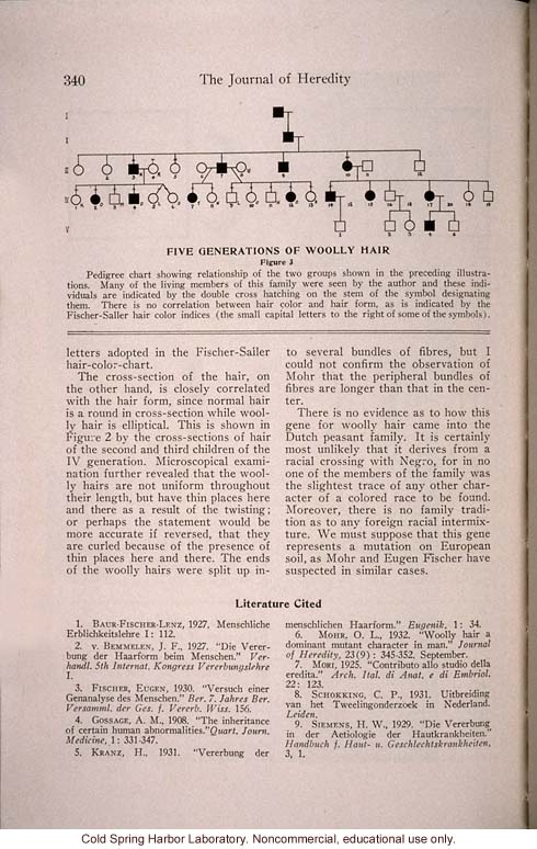 &quote;Another Wooly-Hair Mutation in Man,&quote; by C.Ph. Schokking, <i>Journal of Heredity</i> (vol. 25)