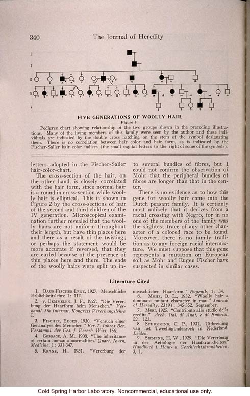 &quote;Another Wooly-Hair Mutation in Man,&quote; by C.Ph. Schokking, <i>Journal of Heredity</i> (vol. 25)