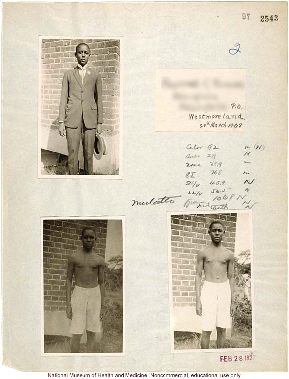 Mico College anthropometric case 1: photos, Schedule 3, notes, drawing test; by Morris Steggerda for <i>Race Crossing in Jamaica</i>