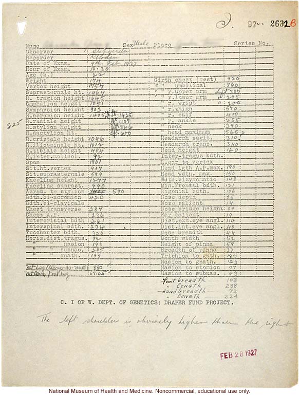 Mico College anthropometric case 2: photos, Schedule 3, measurements, pedigree, notes; by Morris Steggerda for <i>Race Crossing in Jamaica</i>