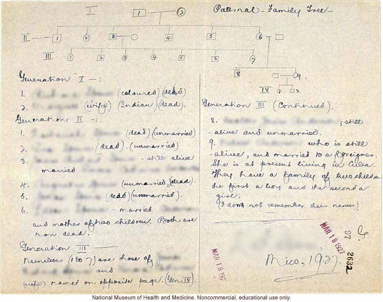 Mico College anthropometric case 2: photos, Schedule 3, measurements, pedigree, notes; by Morris Steggerda for <i>Race Crossing in Jamaica</i>
