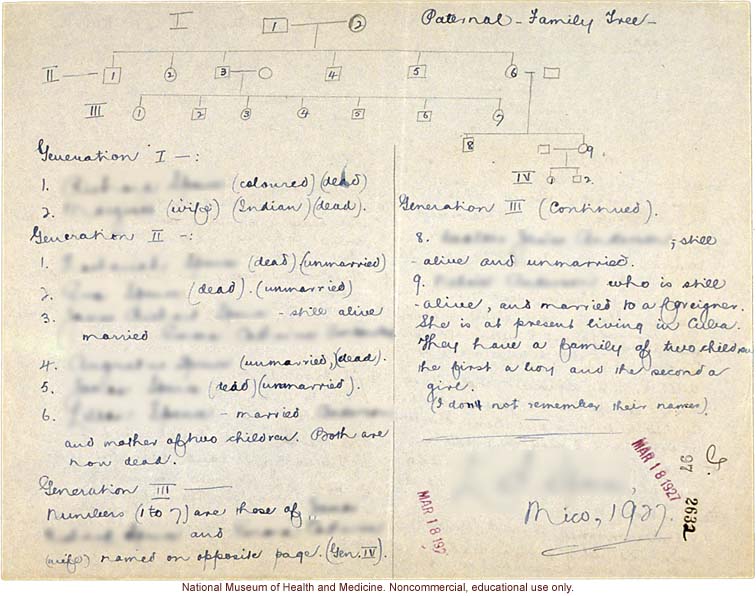 Mico College anthropometric case 2: photos, Schedule 3, measurements, pedigree, notes; by Morris Steggerda for <i>Race Crossing in Jamaica</i>