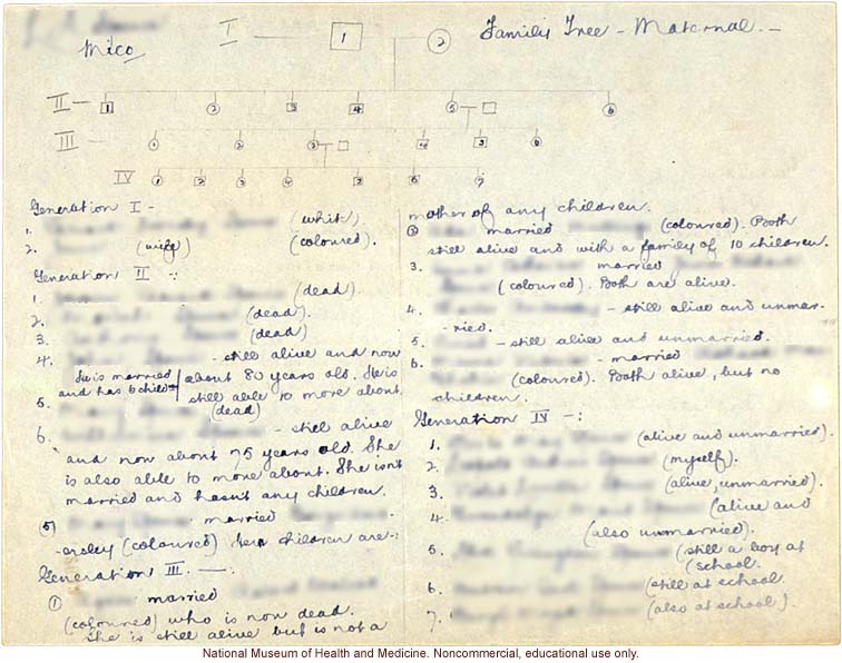 Mico College anthropometric case 2: photos, Schedule 3, measurements, pedigree, notes; by Morris Steggerda for <i>Race Crossing in Jamaica</i>