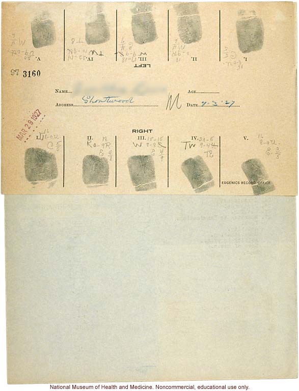 Shortwood College anthropometric case: photos, measurements, fingerprints, hair; by Morris Steggerda for <i>Race Crossing in Jamaica</i>