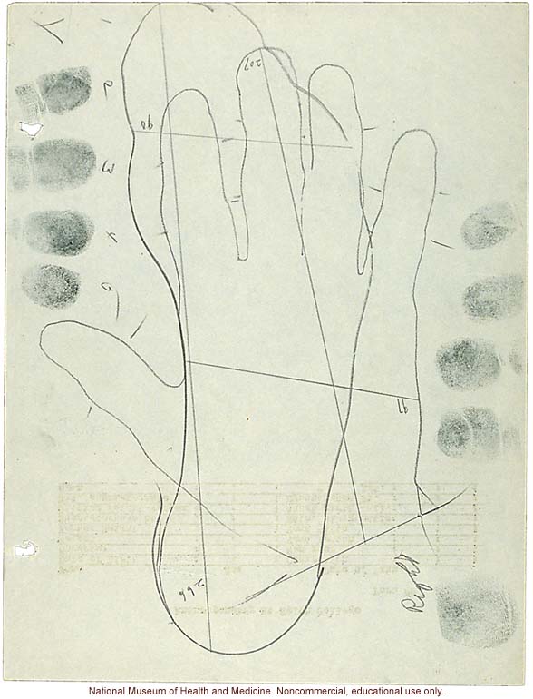 &quote;Anthropometry at Smith College,&quote; form with measurements, handprints, and hand/foot tracings (&quote;Observer Steggerda&quote;)
