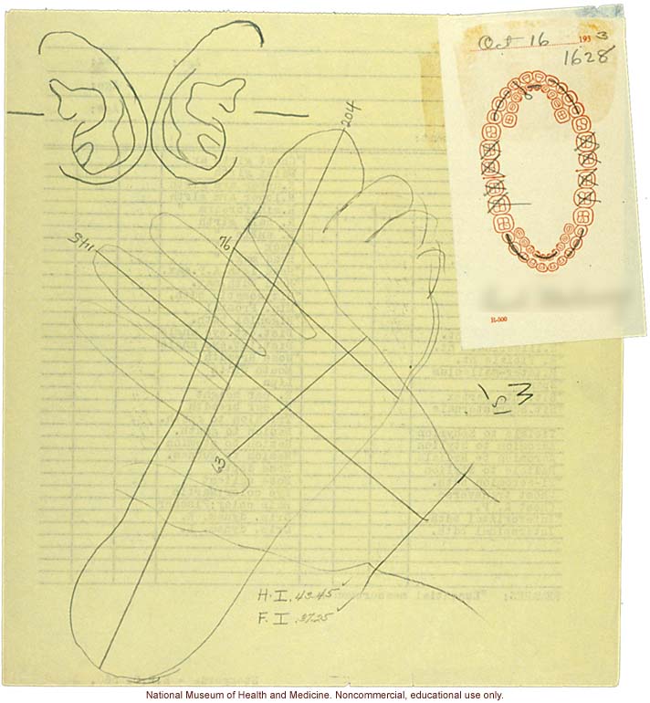 &quote;Growing Series&quote; of Navajo Male age 8-18, Tuba City and Ganado, Arizona (anthropometry, dental charts, and photographs)