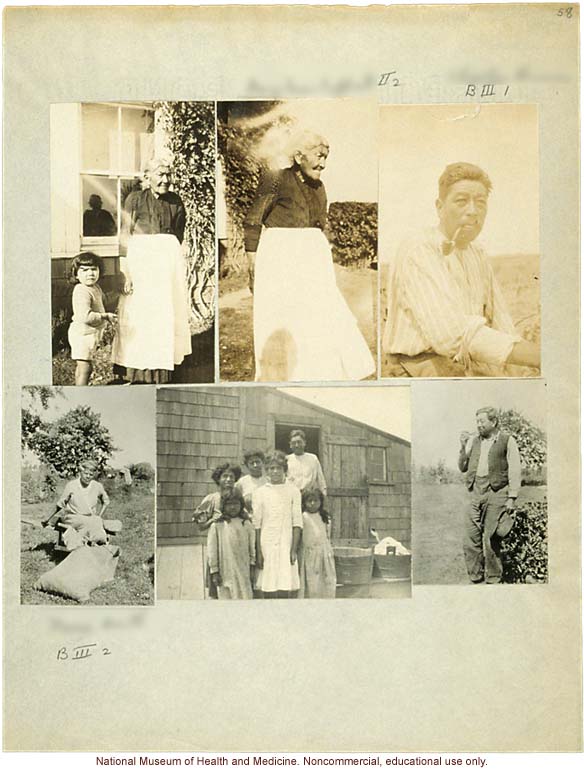 Anthropometric case materials on a Shinnecock Indian Family of Eastern Long Island (photographs, pedigree, field notes, and physical measurements)