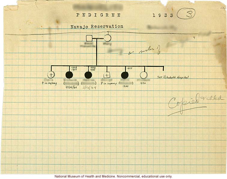 Family photographs and pedigree from the Navajo Reservation, by Morris Steggerda