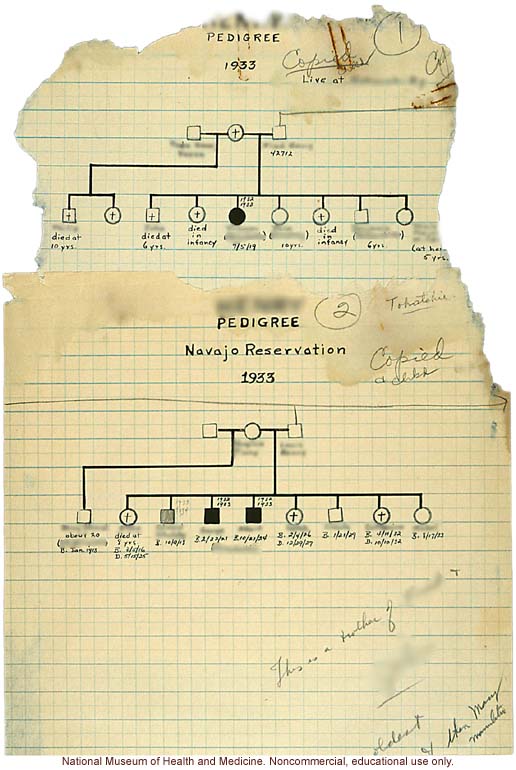 Two pedigrees from the Navajo Reservation, by Morris Steggerda