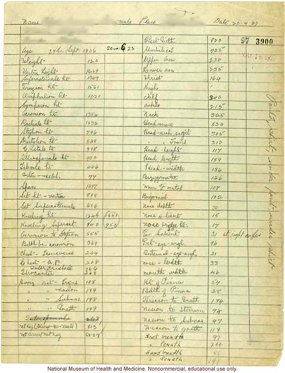 Seaford Town male anthropometric case: photo, measurements, finger prints, Schedule 3, notes; by Morris Steggerda for <i>Race Crossing in Jamaica</i>