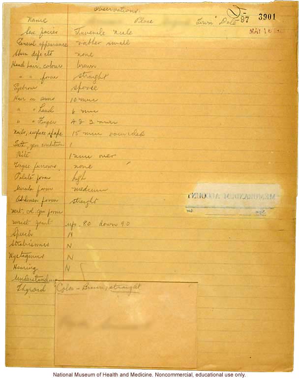 Seaford Town male anthropometric case: photo, measurements, finger prints, Schedule 3, notes; by Morris Steggerda for <i>Race Crossing in Jamaica</i>
