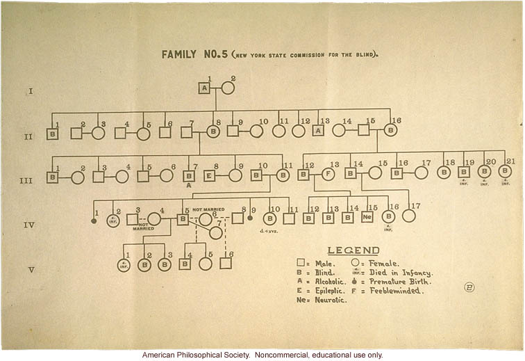 Congenital cataract pedigree