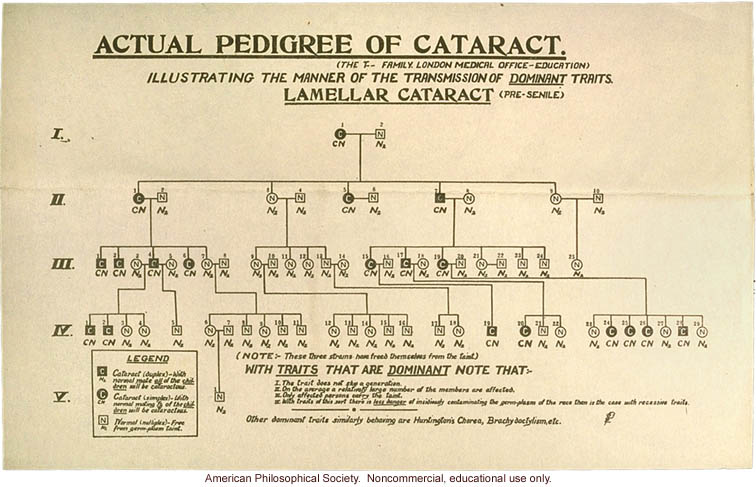 Lamellar cataract pedigree by London Medical Office