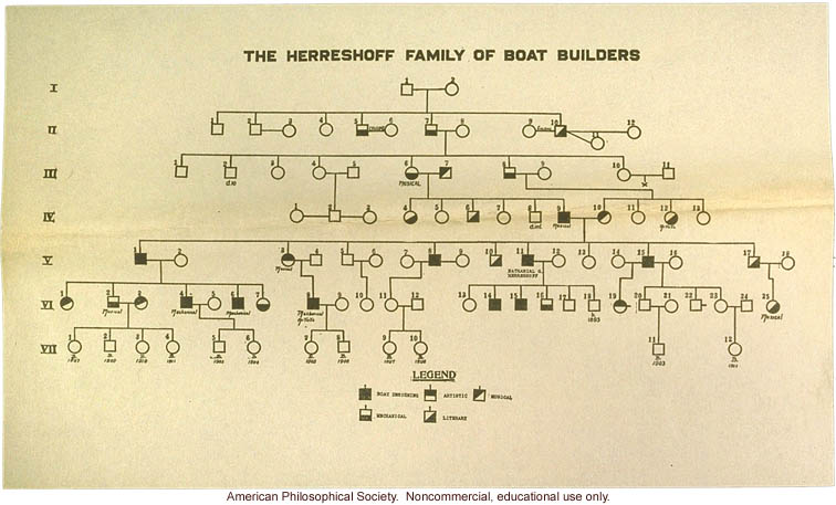 Boat builder pedigree