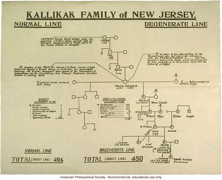 Kallikak family pedigree