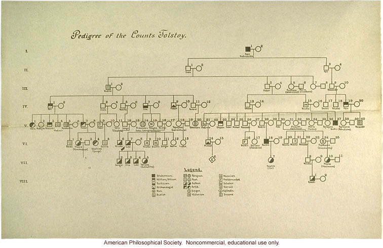 Pedigree of the Counts Tolstoy