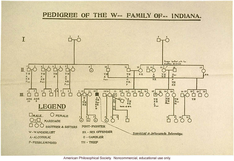 Pedigree of the W-- family of Indiana, a degenerate family in which one member was sterilized