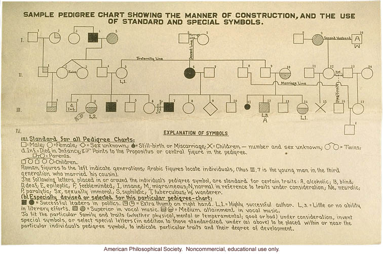 &quote;Sample pedigree chart showing the manner of construction&quote;