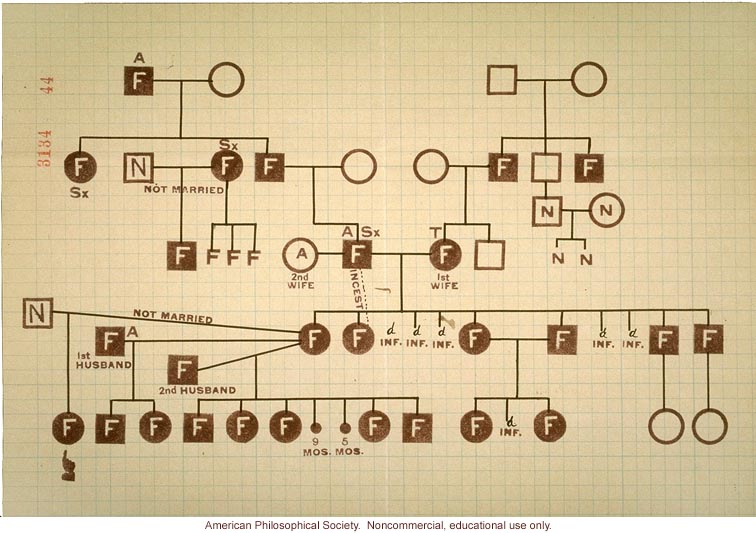 Pedigree for feeblemindedness