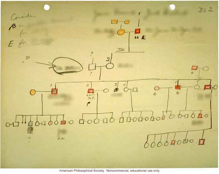 Degenerate family pedigree