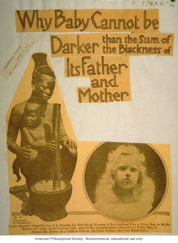 &quote;Why baby cannot be darker than the sum of the blackness of its mother and father,&quote; the Los Angeles Examiner