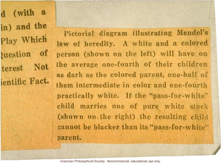 Carnegie Institution research 'disproving' &quote;the popular notion that a 'pass-for-white' person married to a pure white may have a negro child&quote;