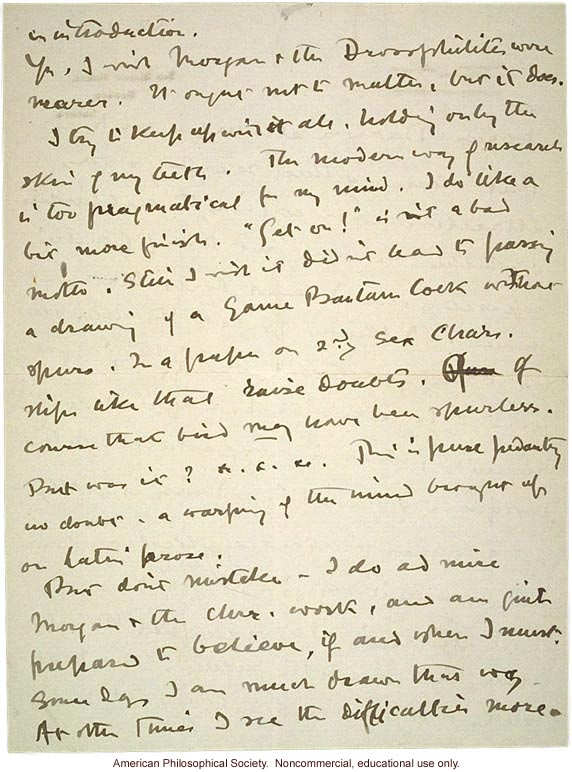 W. Bateson letter to C. Davenport about eugenics and T. H. Morgan