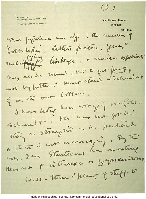 W. Bateson letter to C. Davenport about eugenics and T. H. Morgan