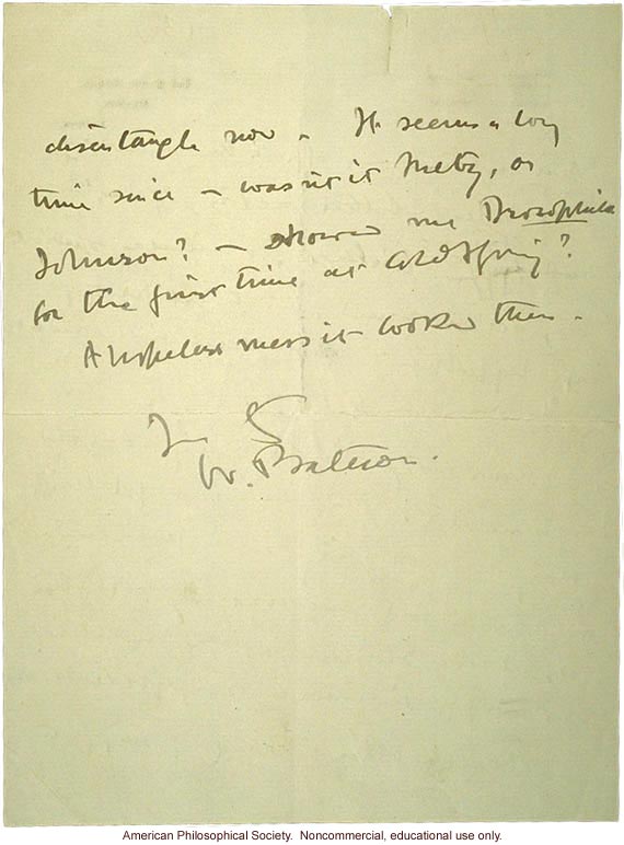 W. Bateson letter to C. Davenport about eugenics and T. H. Morgan