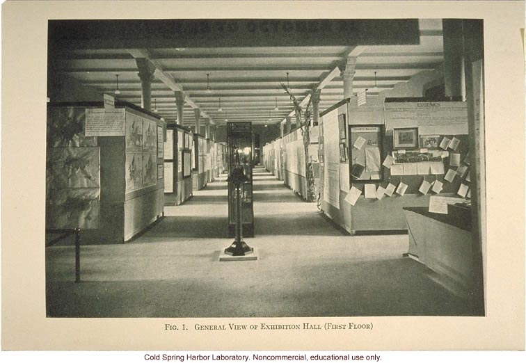 &quote;General view of exhibition hall (first floor)&quote;