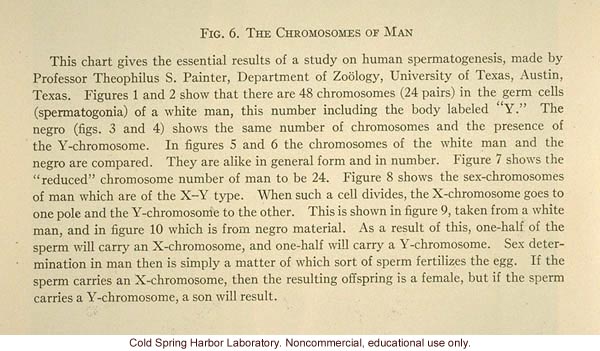 &quote;Fig. 6. The chromosomes of man&quote;