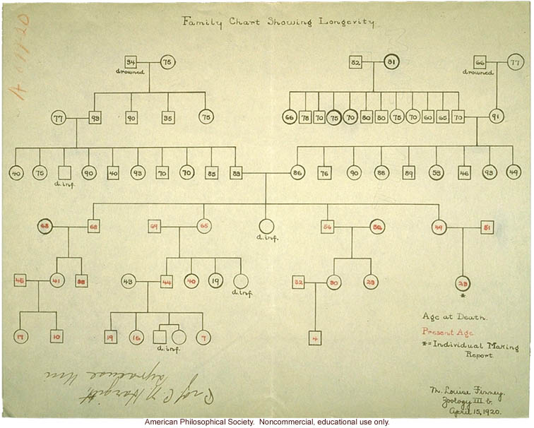 Student report on the heredity of longevity, example 3