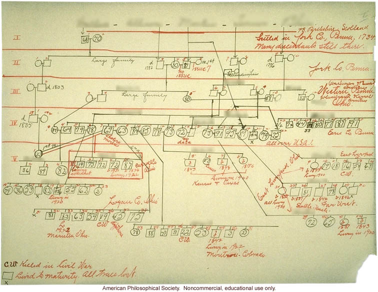 Family tree folder recording inheritance of longevity
