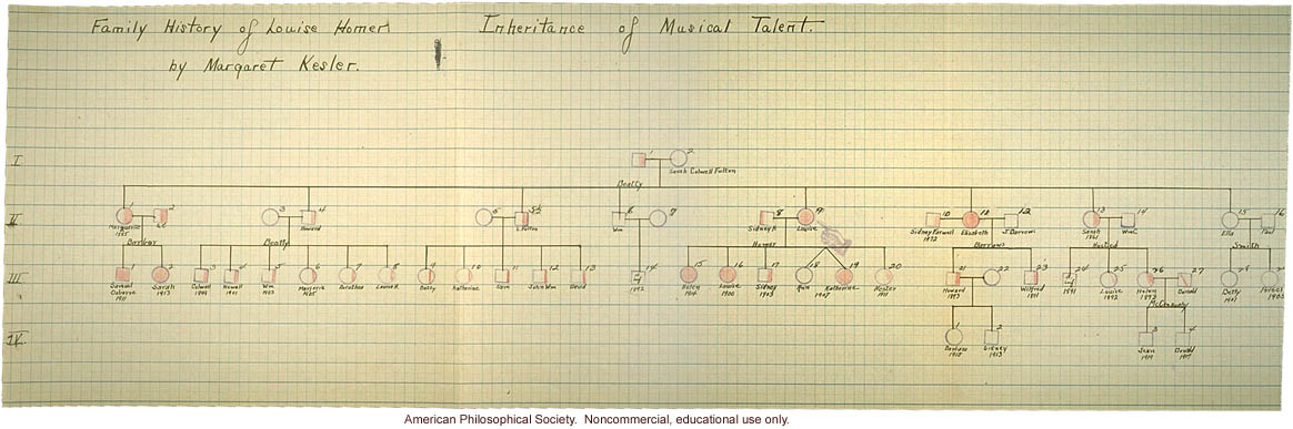 &quote;Family History of Louise Homer: Inheritance of musical talent&quote; pedigree, family history, and newspaper photograph