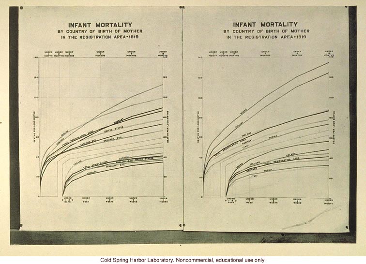 Infant mortality rates in the US by nationality of mother