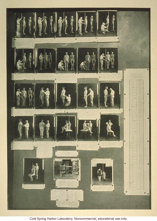 Poster on anthropometric methods