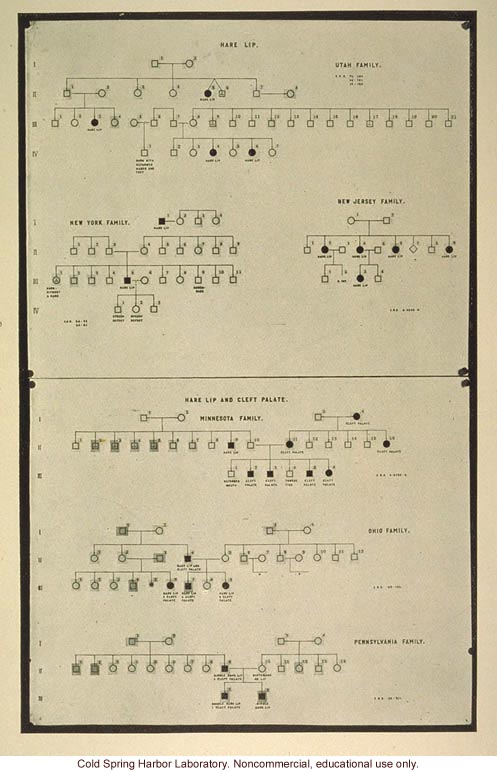 Heredity of harelip and cleft palate