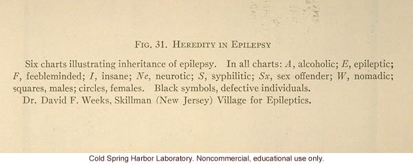 &quote;Heredity in epilepsy,&quote; Fig. 31