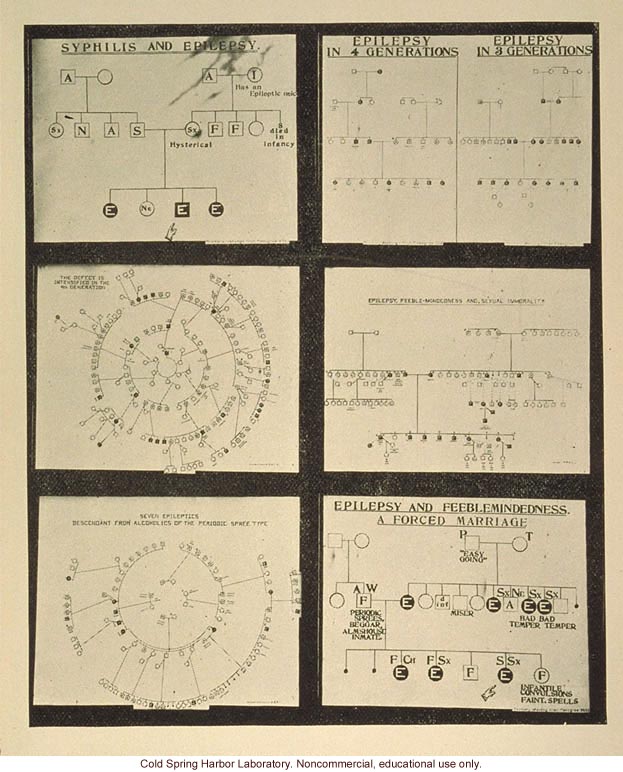 &quote;Heredity in epilepsy,&quote; Fig. 31