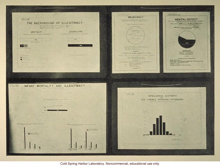 &quote;The background of illegitimacy, delinquency, and mental defect&quote;