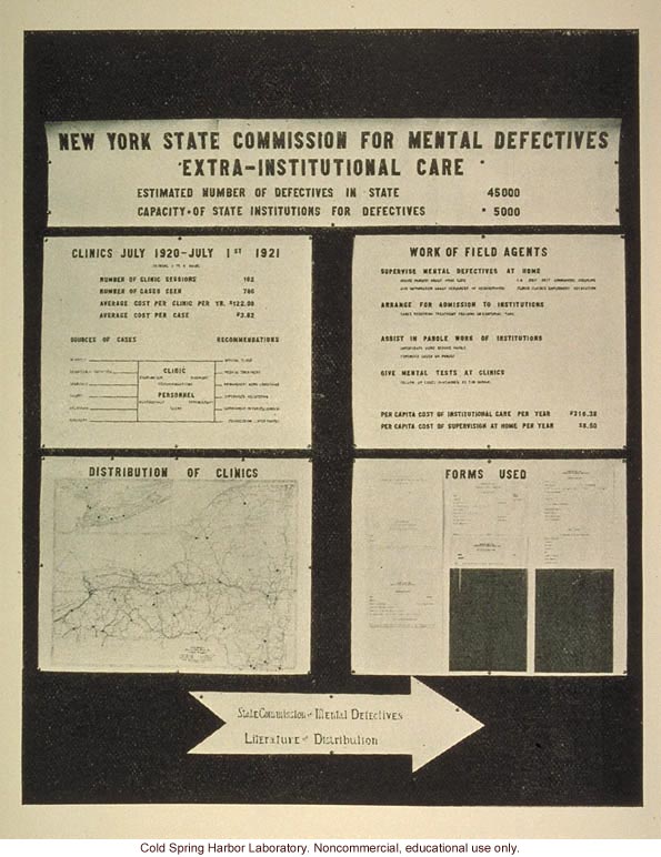 &quote;New York State Commission for mental defectives, extra-institutional care&quote;