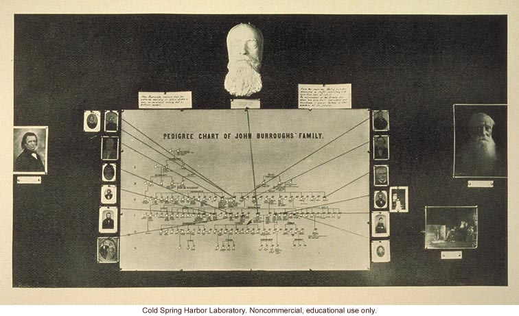 &quote;Pedigree chart of John Burroughs' family&quote;