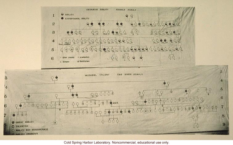 Pedigrees of dramatic ability and musical talent