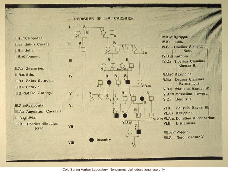 &quote;Pedigree of the Caesars&quote;