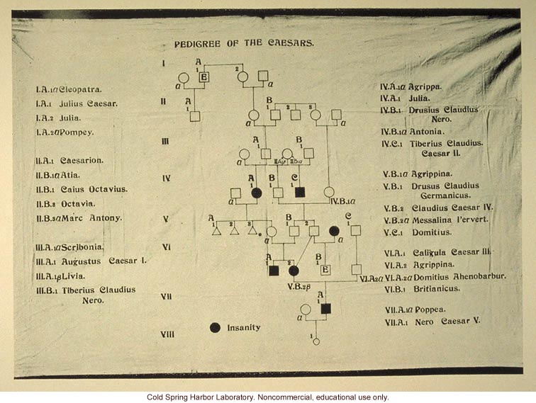 &quote;Pedigree of the Caesars&quote;